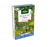 Vilmorin Fleurs Oubliées 25 m² Mélange de Fleurs | Composé de Souci, Aneth, Coquelicot, Lavatère, floraison estivale, culture facile, couverture 25 m²