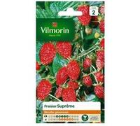 vilmorin fraisier des 4 saisons supreme G