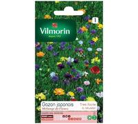 Vilmorin Gazon Japonais 4m²