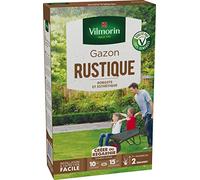 Vilmorin Gazon Rustique Boite 250 g, Vert