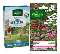 Vilmorin Gazon Ultra résistant Boite de 250 g, Vert & 5448242 Pâquerette, Multicolore, 90 x 2 x 160 cm