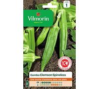 Vilmorin - Gombo Clems spineless - Saveur Venue d'Afrique Proche de l'aubergine- légume ou Condiment - Forme Pointue et hexagonale
