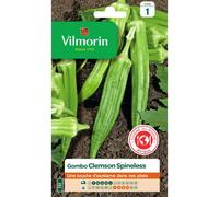 Vilmorin Gombo Clemson Spineless