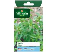 Vilmorin Graines Basilic Citron