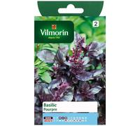 Vilmorin Graines Basilic Pourpre