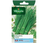 Vilmorin Graines Ciboulette