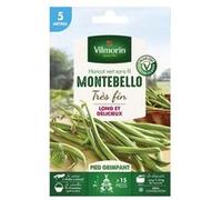 vilmorin graines de haricot a rames montebello - 5 m