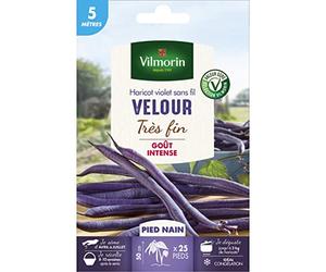 Vilmorin - Graines de Haricot violet sans fil VELOUR très fin - 5 mètres