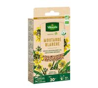 Vilmorin - Graines de Moutarde blanche BIO, sachet de 60 grs