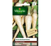 Vilmorin Pack de graines Panais de Guernesey 3771242