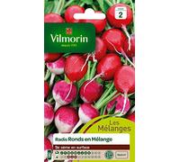 Graines De Radis Variété "Rond En Mélange" Vilmorin Semis De Janvier À Septembre