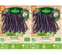 VILMORIN Haricot Blauhilde bio Vilmorin 10m (Lot de 2)