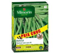 Vilmorin Haricot Delinel