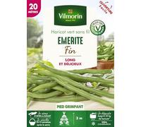 Vilmorin Haricot Emérite 20 m