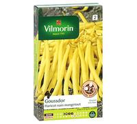 vilmorin sachet graines de haricot nain mangetout goussdor G
