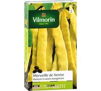 VILMORIN Haricot Merveille de Venise Sachet de graines - Mangetout beurre