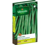 Vilmorin - Haricot nain mangetout CONTENDER