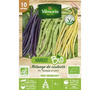 Vilmorin Haricot rame mix bio 10m