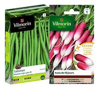 Vilmorin Haricot Talisman Boite 140g, Vert & 3882041 Radis, Rouge, 90 x 2 x 160 cm