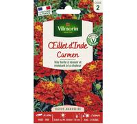 Vilmorin 5441142 Œillet Rouge 9 x 0.5 x 16 cm