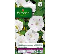 Vilmorin Ipomée Blanche
