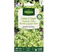 Vilmorin Laitue à Couper Feuille de Chêne Blonde à Graine Noire