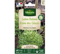 Vilmorin Laitue Batavia Reine des Glaces - Légumes d'Autrefois
