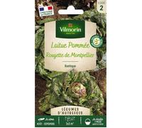 Vilmorin Laitue d'Hiver Rougette de Montpellier - Légumes d'Autrefois