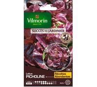 VILMORIN Laitue picholine