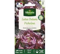 Vilmorin Laitue Picholine