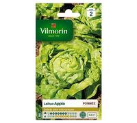Vilmorin Laitue Appia