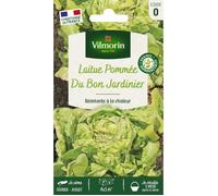 Vilmorin Laitue Pommée du Bon Jardinier