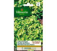 Vilmorin Laitue Vert