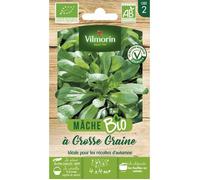 Vilmorin Mâche à Grosse Graine - BIO