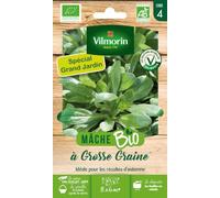 Vilmorin Mâche à Grosse Graine Bio Grand Modèle | Précoce, Savoureuse, Automne, Facile à cultiver, Agriculture biologique