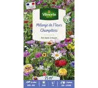 Vilmorin Melange de Fleurs Champetre 25 m² | Entretien facile, Floraison longue, Diverse variétés, Ambiance estivale