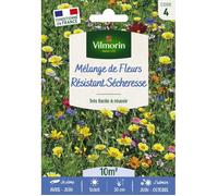 Graines - Vilmorin - Mélange Résistant Sécheresse - 10 m² - Mélange de fleurs