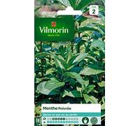 Vilmorin Menthe Poivrée