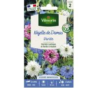 Vilmorin Nigelle Multicolore | Semence, Fleur, Facile à réussir, Rustique