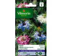 Vilmorin Nigelle Multicolore | Semence, Fleur, Facile à réussir, Rustique