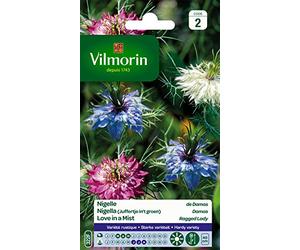 Vilmorin Nigelle Multicolore | Semence, Fleur, Facile à réussir, Rustique