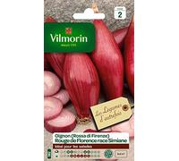 Vilmorin – Graines Oignon de Florence Race de Simiane Rouge – Pack 3751142