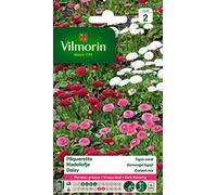 Vilmorin Pâquerette, Multicolore | Floraison précoce, culture en pots ou jardinières, massifs bas, bordures, semis mars à juin, floraison juillet-août