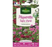 Vilmorin Pâquerette Tapis Varié