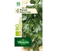 Vilmorin Persil Géant Vert | Herbe aromatique, feuilles parfumées, exposition mi-ombre, culture facile