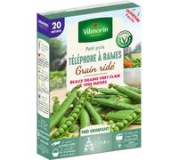 VILMORIN Petit Pois TELEPHONE A RAMES