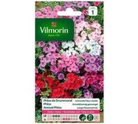 vilmorin phlox de drummond a grande fleur varié G