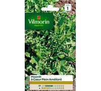 Vilmorin - Pissenlit cœur Plein - Plante très Productive - Forme compacte -