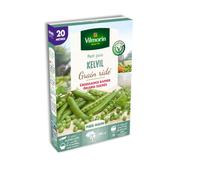 Vilmorin-1244082-POIS KELVIL 20M VL