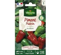 Vilmorin Poivron Padron | 4/10 sur l'échelle de Scoville, Piment à tapas espagnol, peu piquant